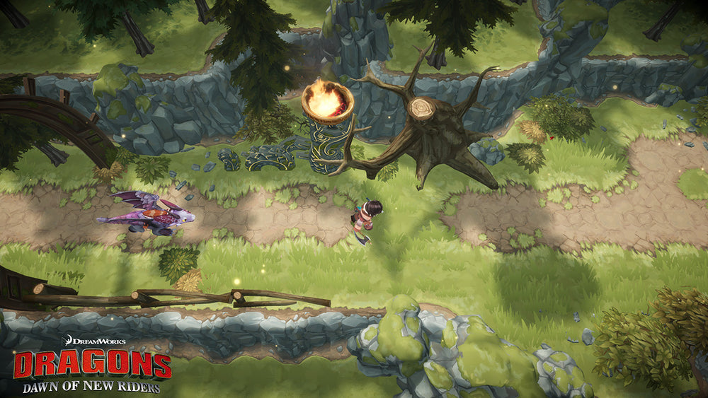 Dragons: Dawn of New Riders Nintendo Switch screenshot