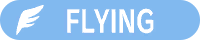 Flying type