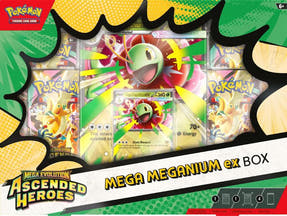 Mega ex Box (Meganium)