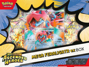 Mega ex Box (Feraligatr)