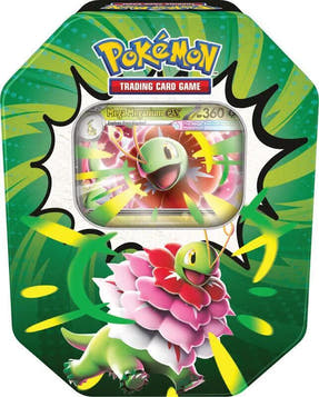 Tin (Mega Meganium ex)